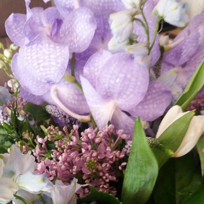 Spanish language schools in Marbella