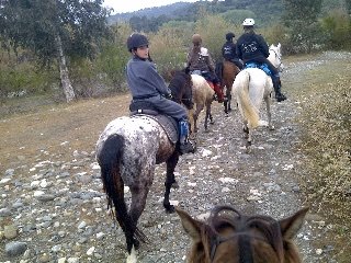 marbella horse livery spain