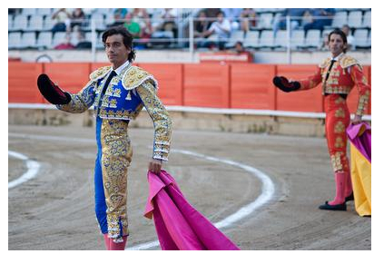 Бои быков в Марбелье