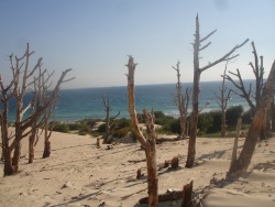 Юридические Услуги