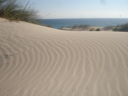 Бухгалтерские Услуги