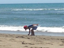 Домохозяйство