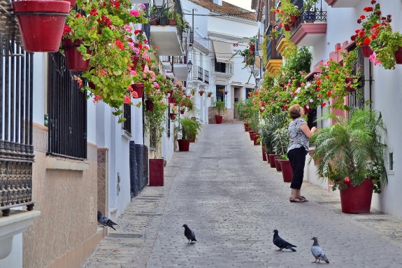 estepona - marbella estepona - marbella