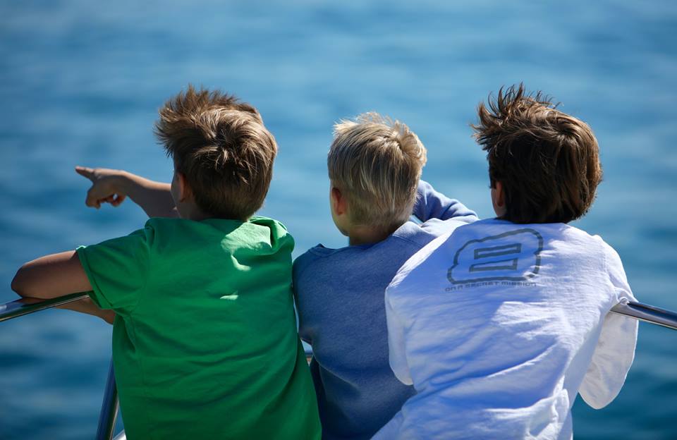 Dolphins in Marbella