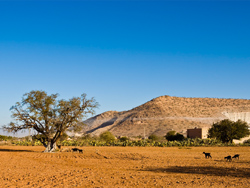 Experience Morocco tours Experience Morocco tours