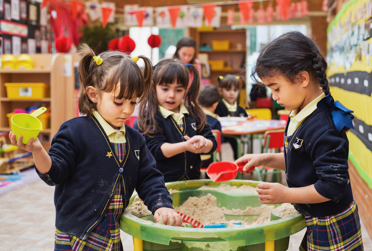 swans international school swans international school