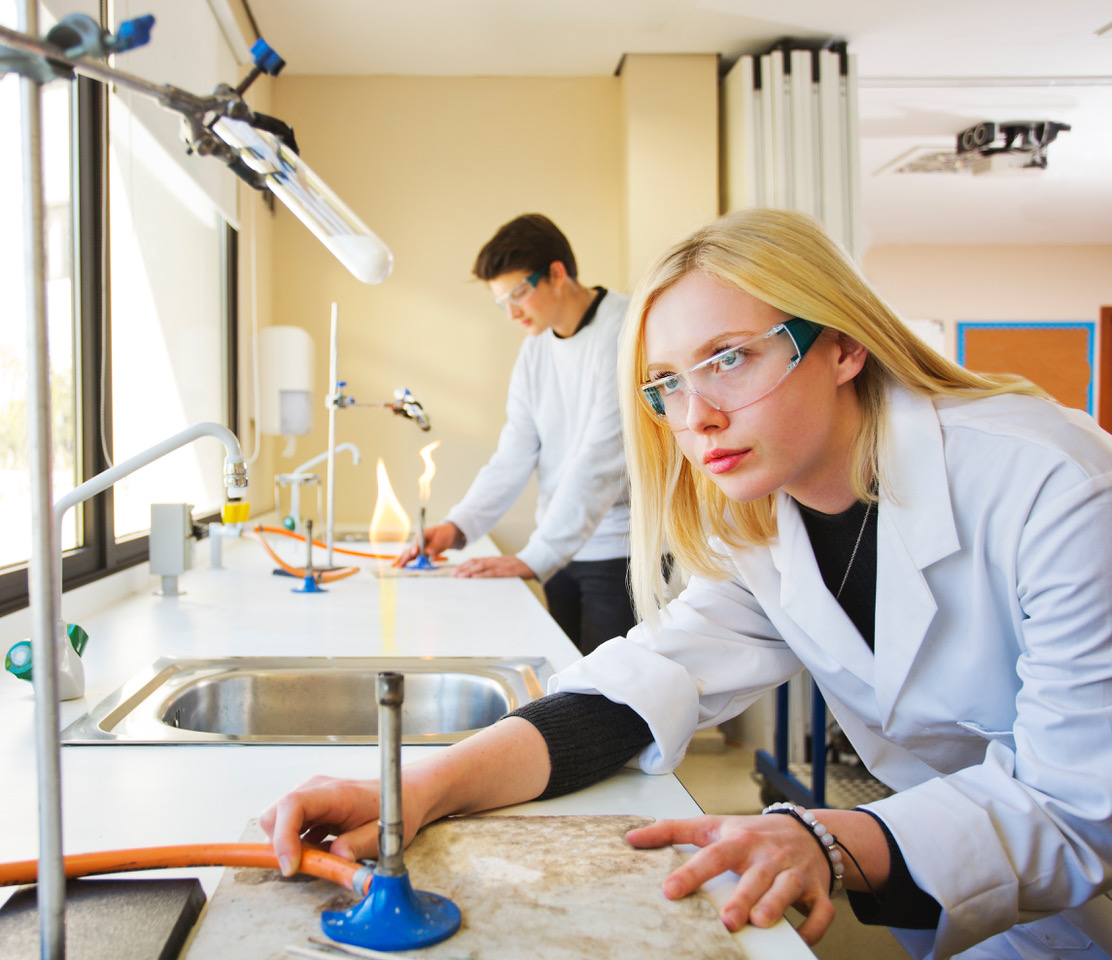 swans international school swans international school