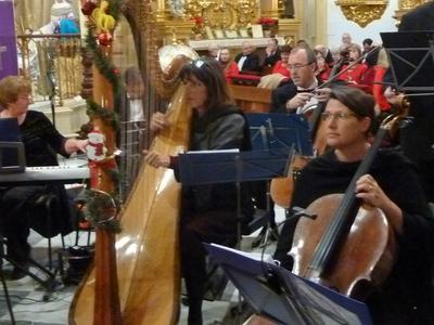 Charlotte Nyborg the Solo Harpist