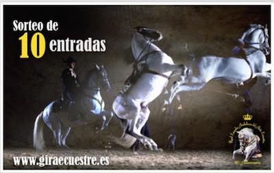 Andalusian Horse Show