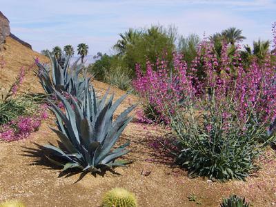 Arrayan Jardines Comprehensive Garden Design