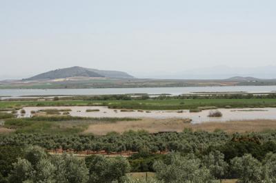 Laguna de Fuente de Piedra