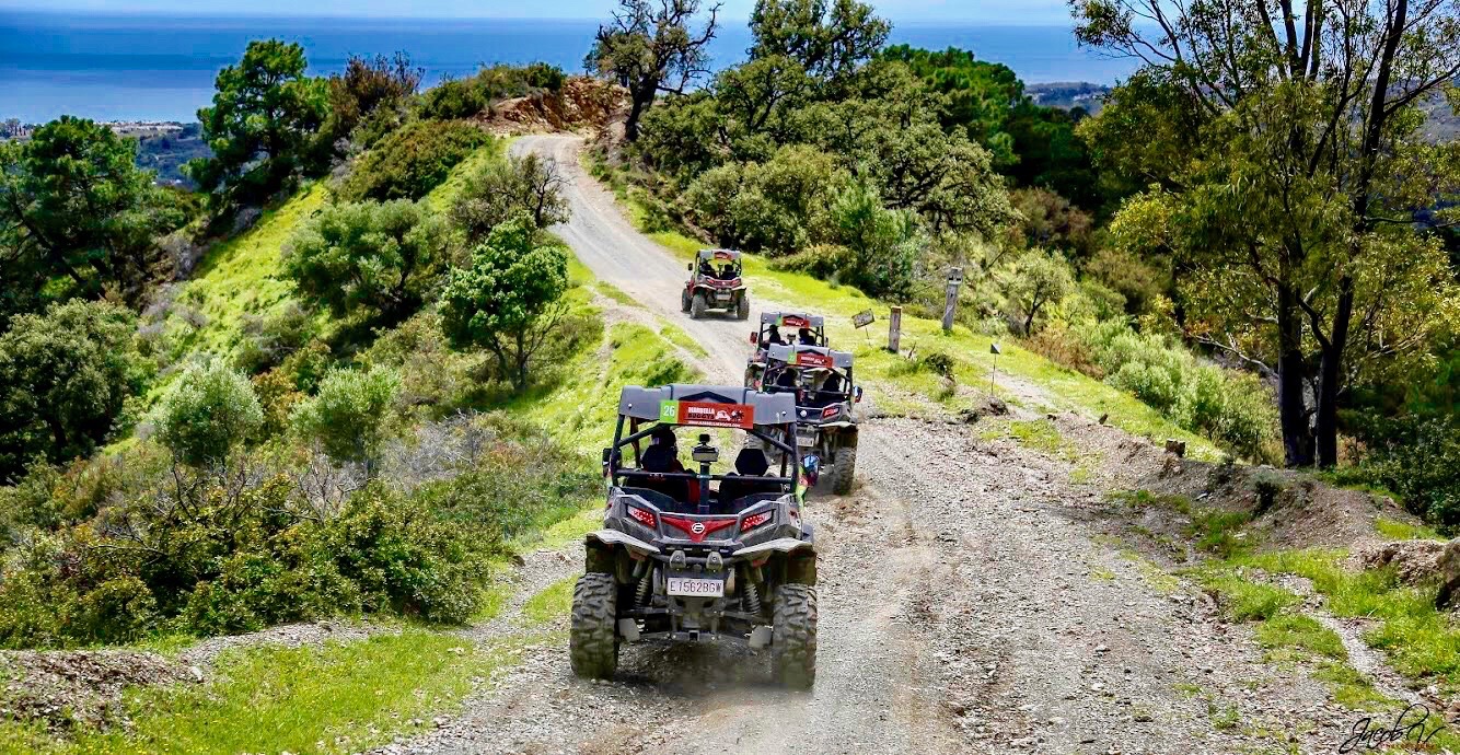 Marbella Buggys in Marbella - My Guide Marbella