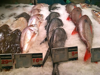 Fish Stores Marbella Fish Stores Marbella