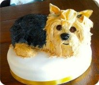 cake couture marbella cake couture marbella