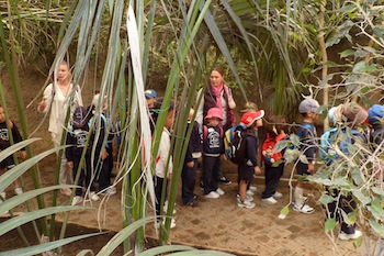 Calpe students exploring Bioparc