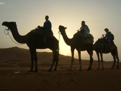 Camel Trekking in Morocco
