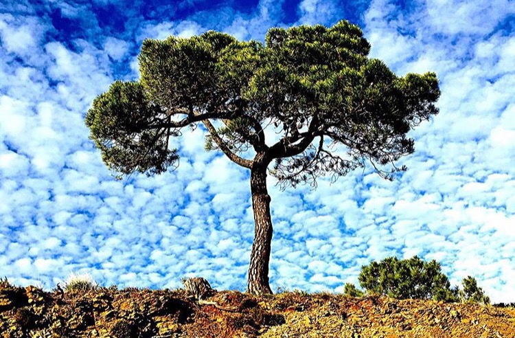 Marbella Facebook Photo Contest