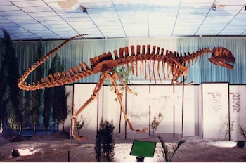 Dinopetrea Malaga Dinosaur Exhibition