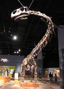 Dinopetrea Malaga Dinosaur Exhibition