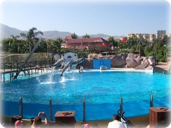 Dolphin experience at Selwo Marina