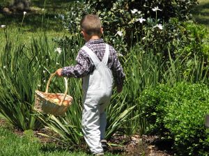 Easter Egg Hunt at Arboretum Marbella 4th April