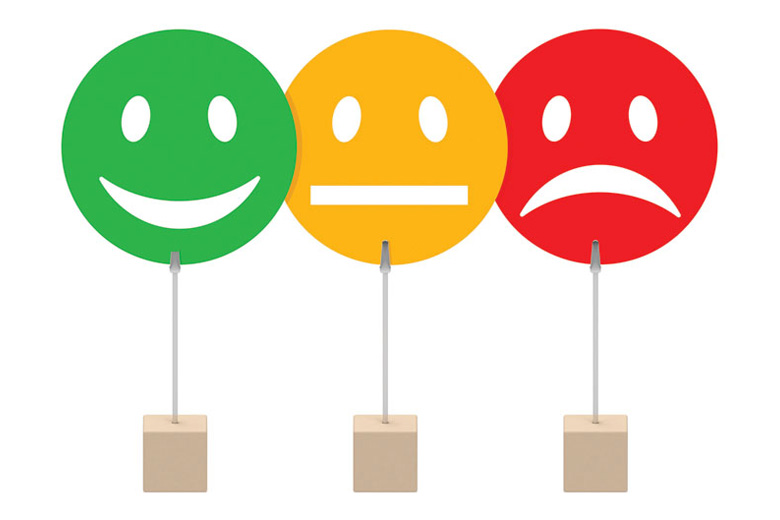 Surveys on the Costa del Sol