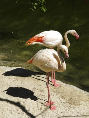 Family friendly holidays in Marbella