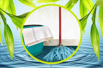 Office Cleaning Service in Marbella