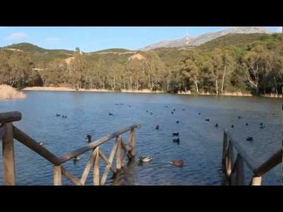 Litter Pickers event in Marbella