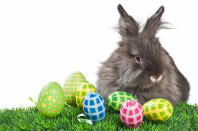 YE YE Junior Language Club in Marbella