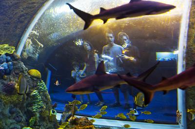 Granada Science Park