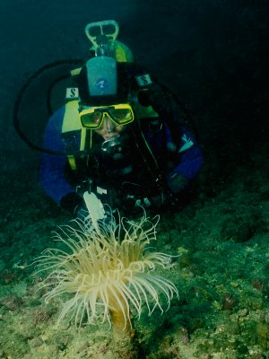 Marbella diving school