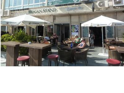 hogan Stand's terrace