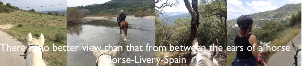 marbella horse livery spain