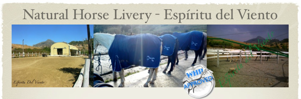 marbella horse livery spain