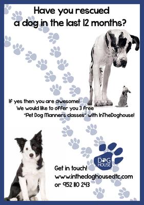 3 free lessons if you've rescued in the last 12 months!