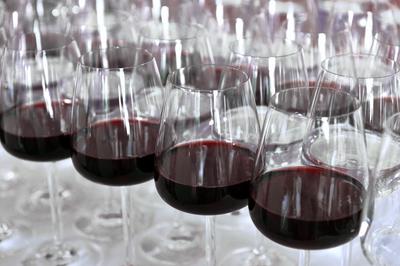 Wine Tasting Marbella