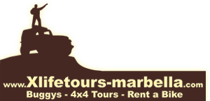 X Life Tours Marbella