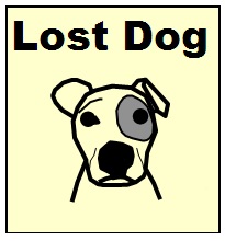 Lost dog in Marbella