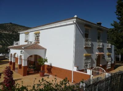 Luxury Villa For Rent