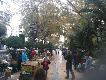 Ecological market at Paseo de la Alameda