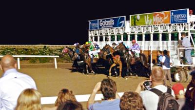 marbella horses marbella horses