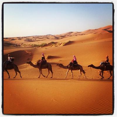 Marrakech Camel treks trip