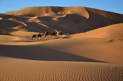 Marrakech to fes desert tours