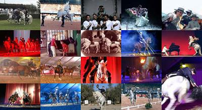 Hipodromo Mijas Racecourse