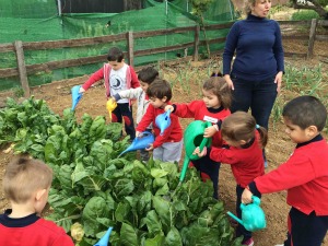 Moonlighting Nursery Moonlighting Nursery