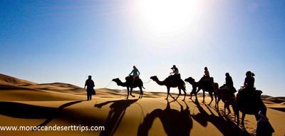 morocco desert tours