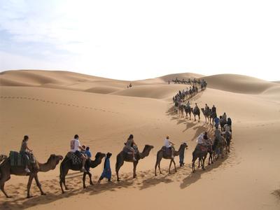 Camel treck 