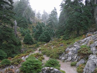 Nature walks in Andalusia