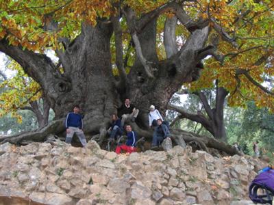 Nature walks in Andalusia